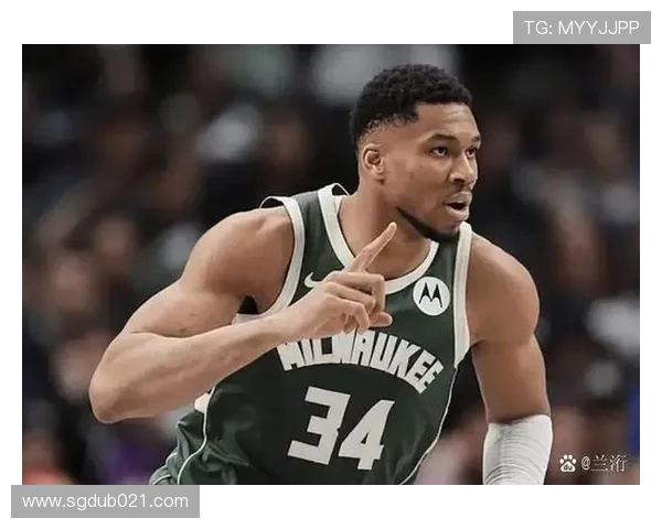 2006年火箭队NBA比赛录像资源